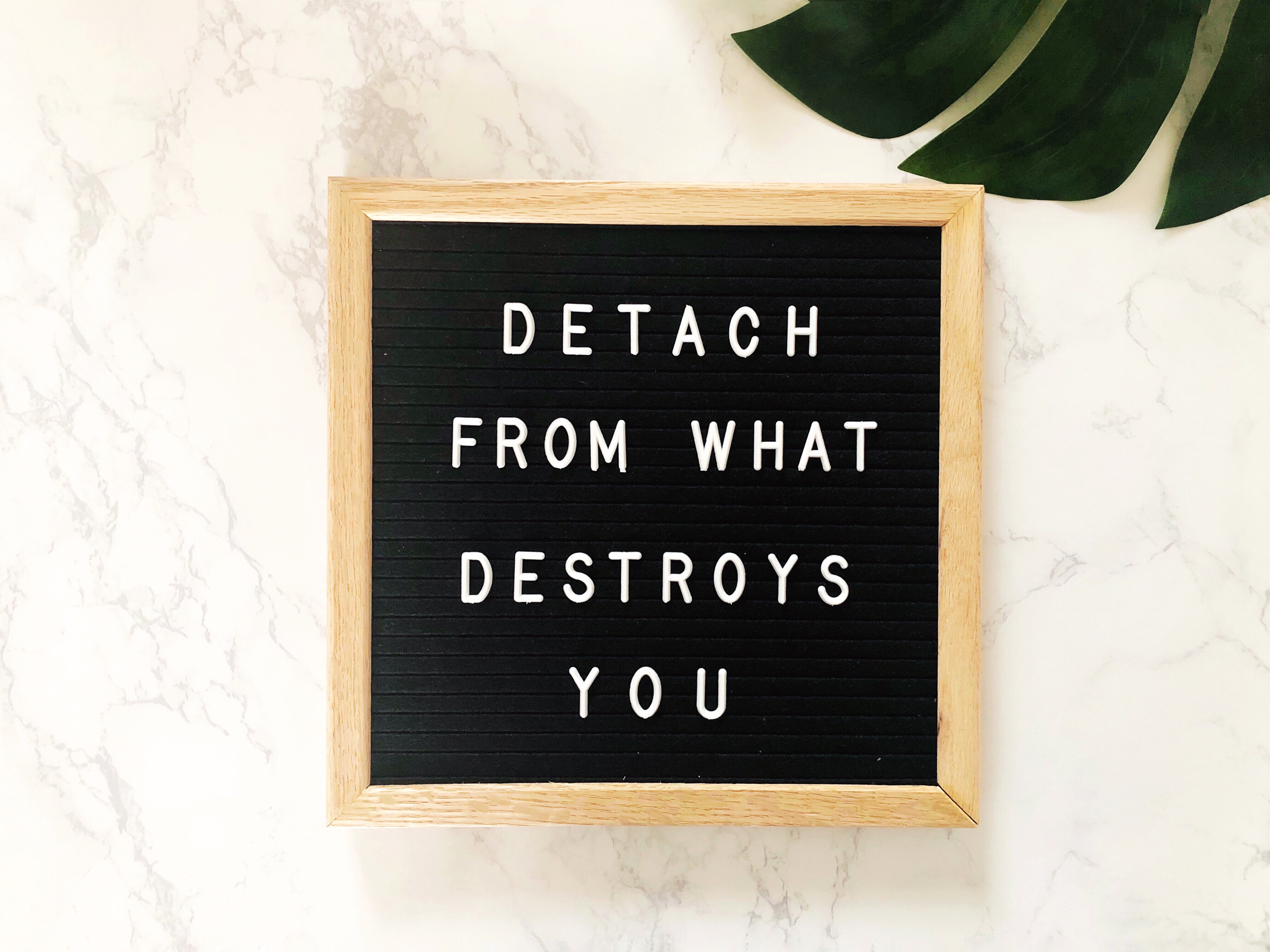 detach-from-what-destroys-you-quote-quotes-wise-words-great-quote-positive-quotes-life-quote-quotes_t20_gopA87