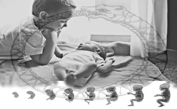 The Human Child